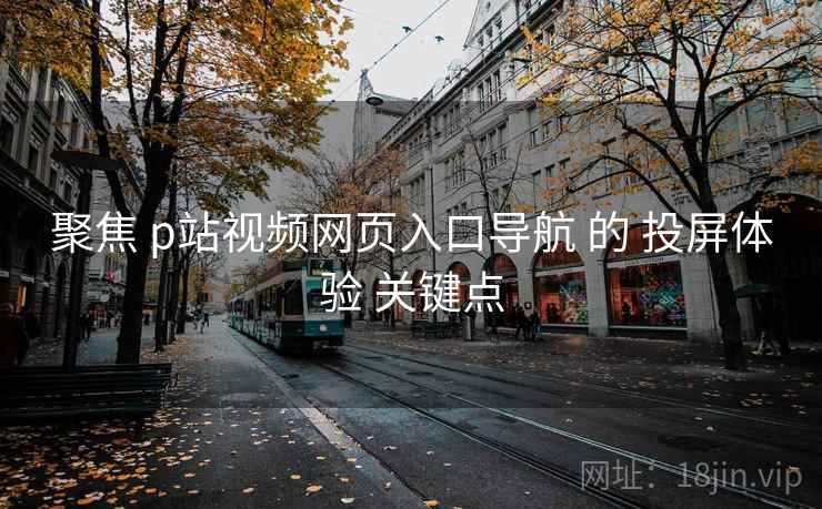 聚焦 p站视频网页入口导航 的 投屏体验 关键点