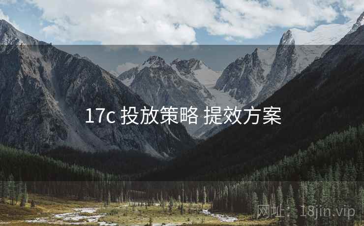 17c 投放策略 提效方案