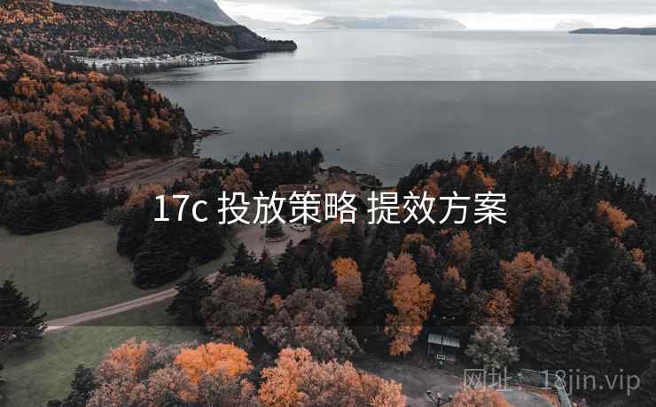 17c 投放策略 提效方案 17c 投放策略 提效方案
