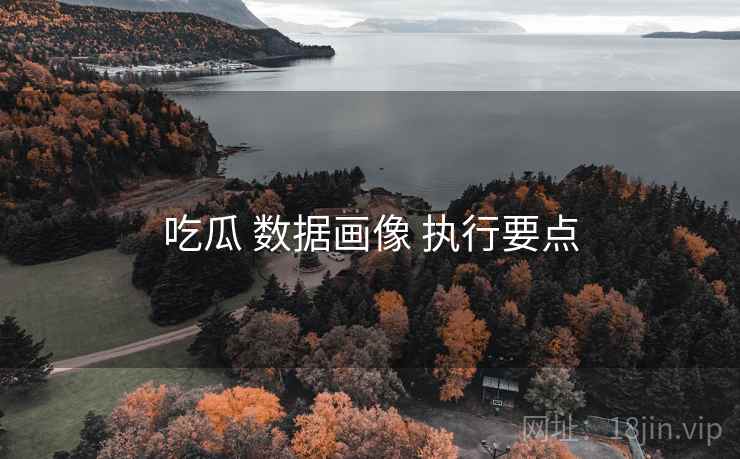 吃瓜 数据画像 执行要点 吃瓜 数据画像 执行要点